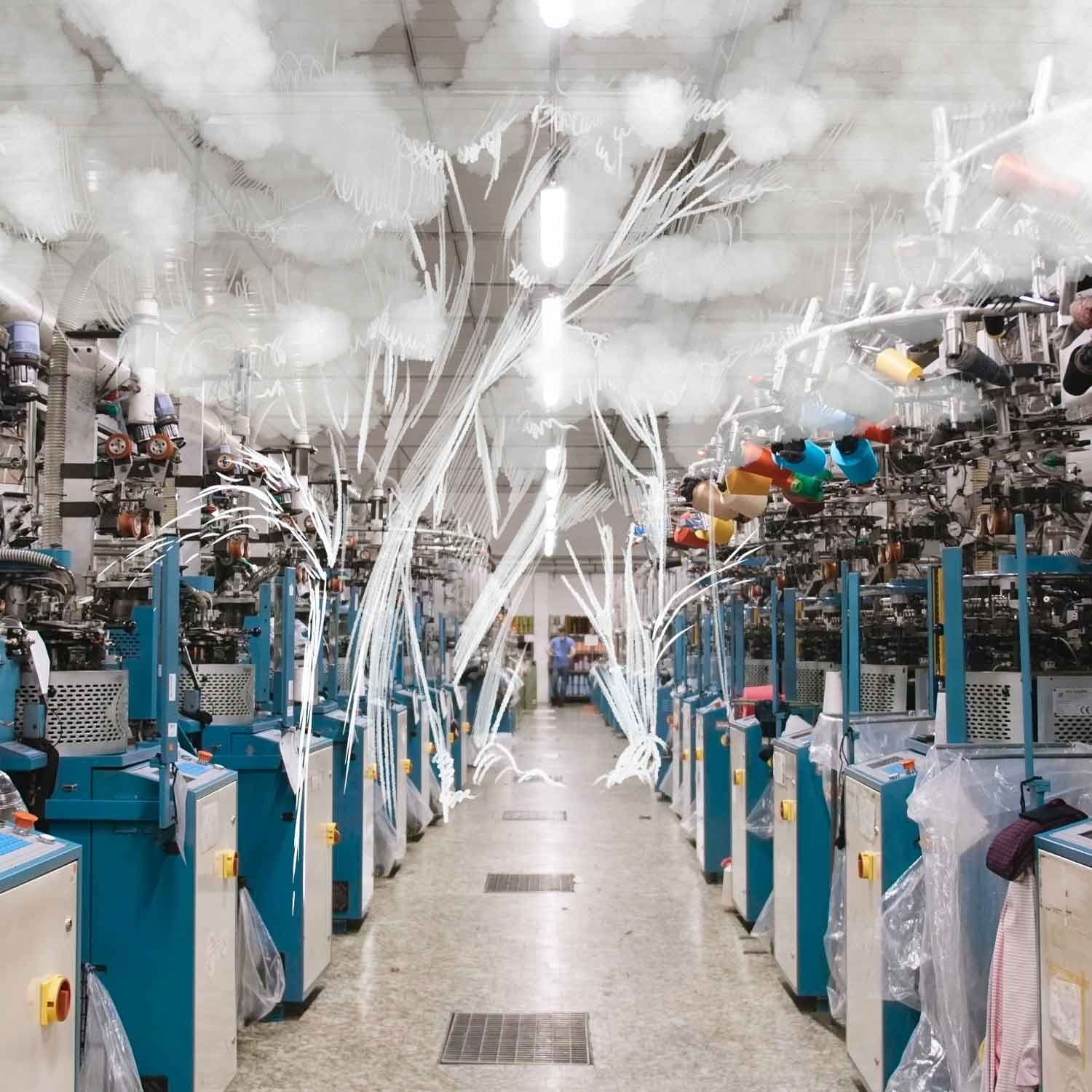 Sostenibilità e Polo del Made in Italy — Oggi